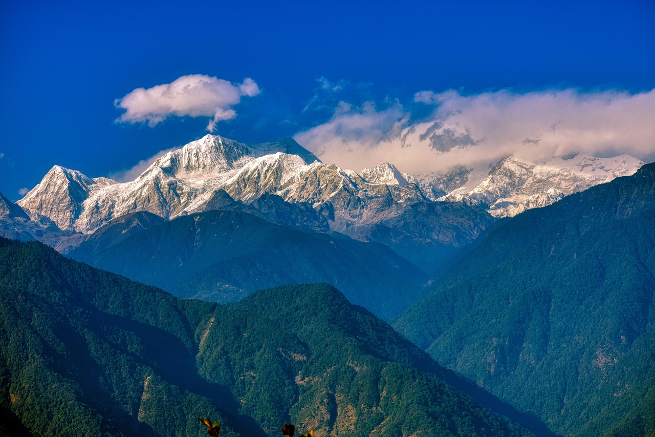 Is Do I Need to Sikkim Casino License Legal in India? Complete 2026 Guide